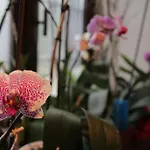 Casa Carla *