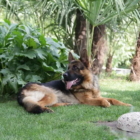 Casa Carla Отель типа 