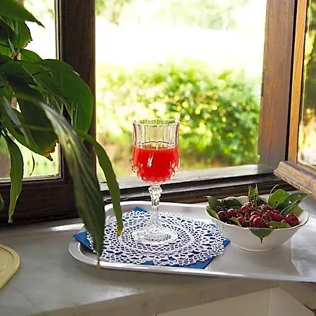 Bed & Breakfast Casa Carla